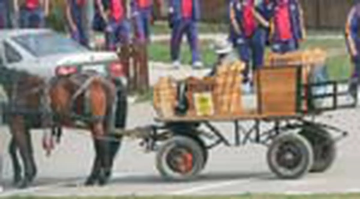 Au baut la 'Tequila'