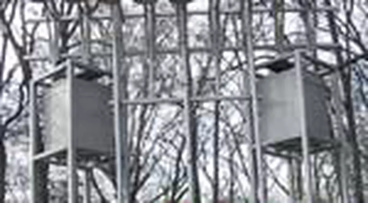 Primaria a cumparat stalpi cantatori de 60.000 de euro