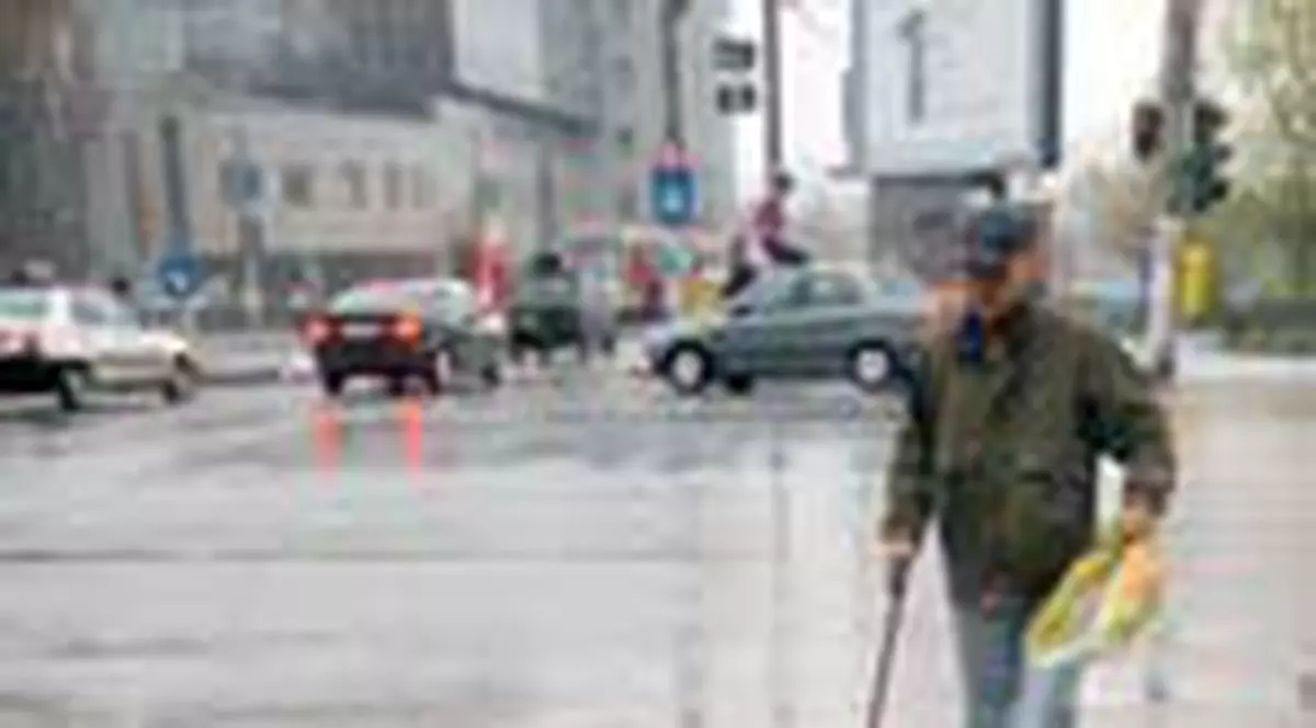 4 tone de pacura au ajuns in strada