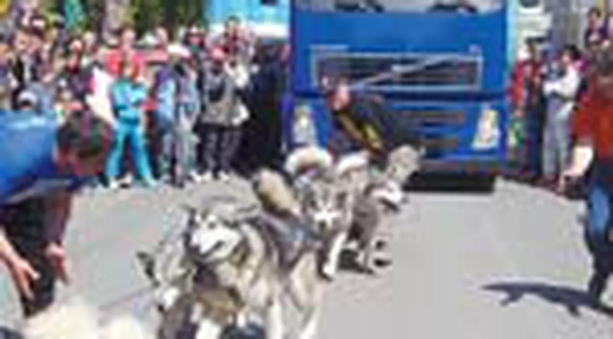 TIR  tras de 6 caini