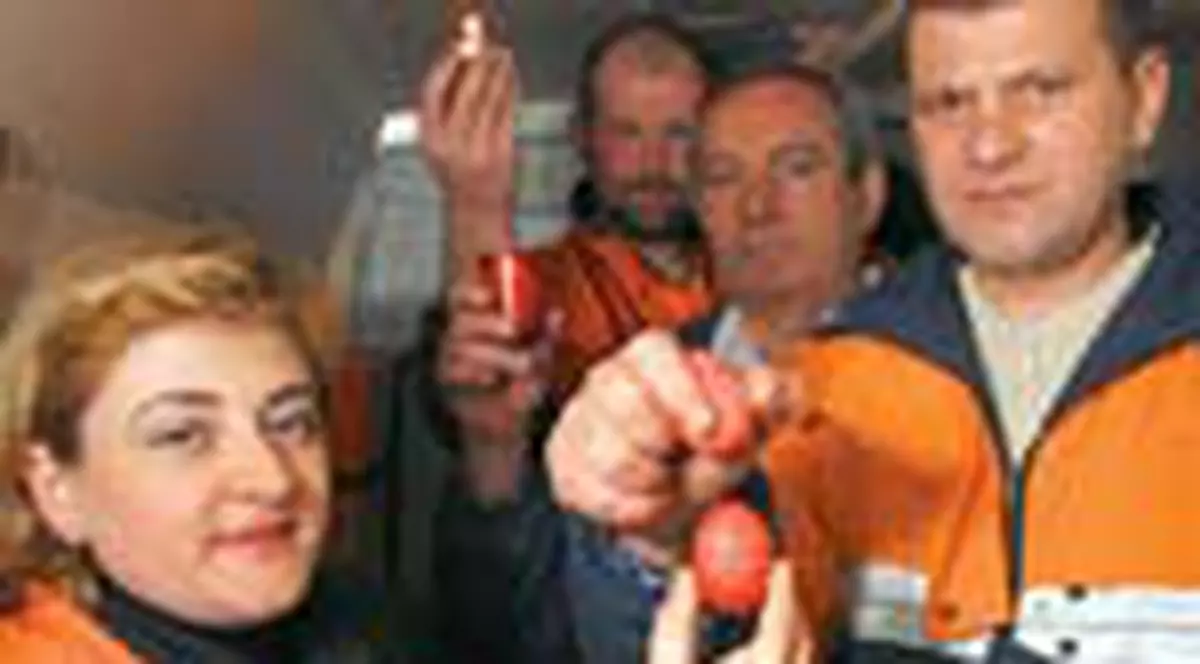 Ei au lucrat de Inviere