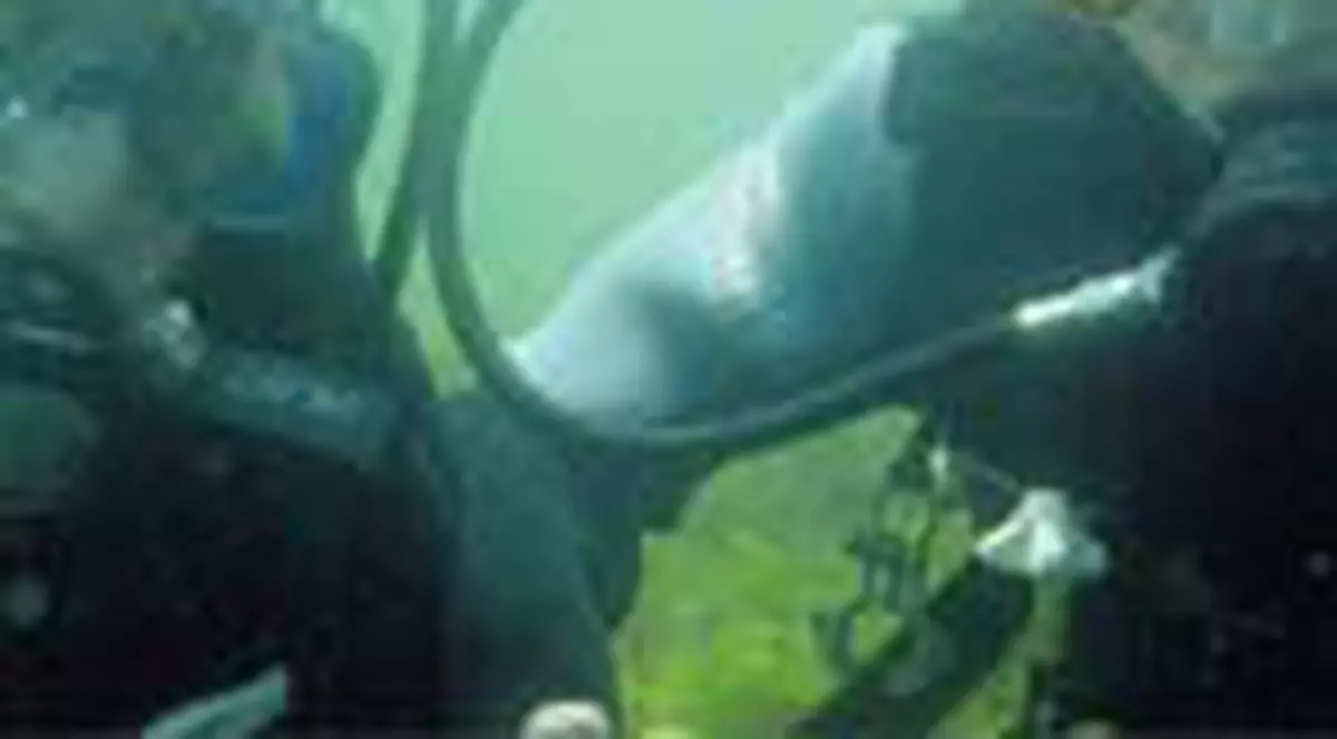 Vacante sub apa cu doar 180 euro