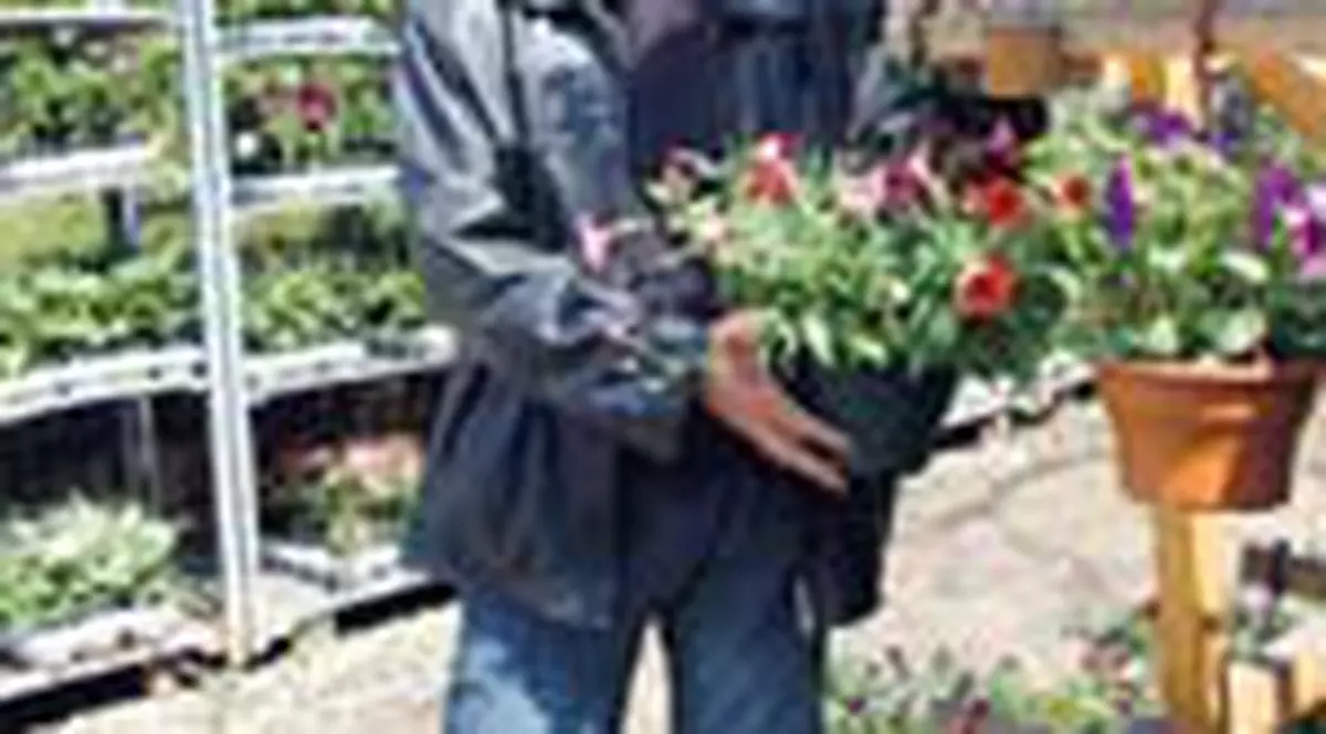 Cat va costa gradina din balcon