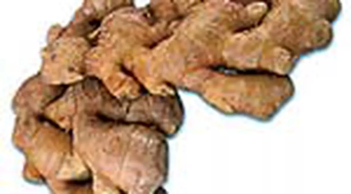 Raul de mare si de masina, tratat cu ghimbir 