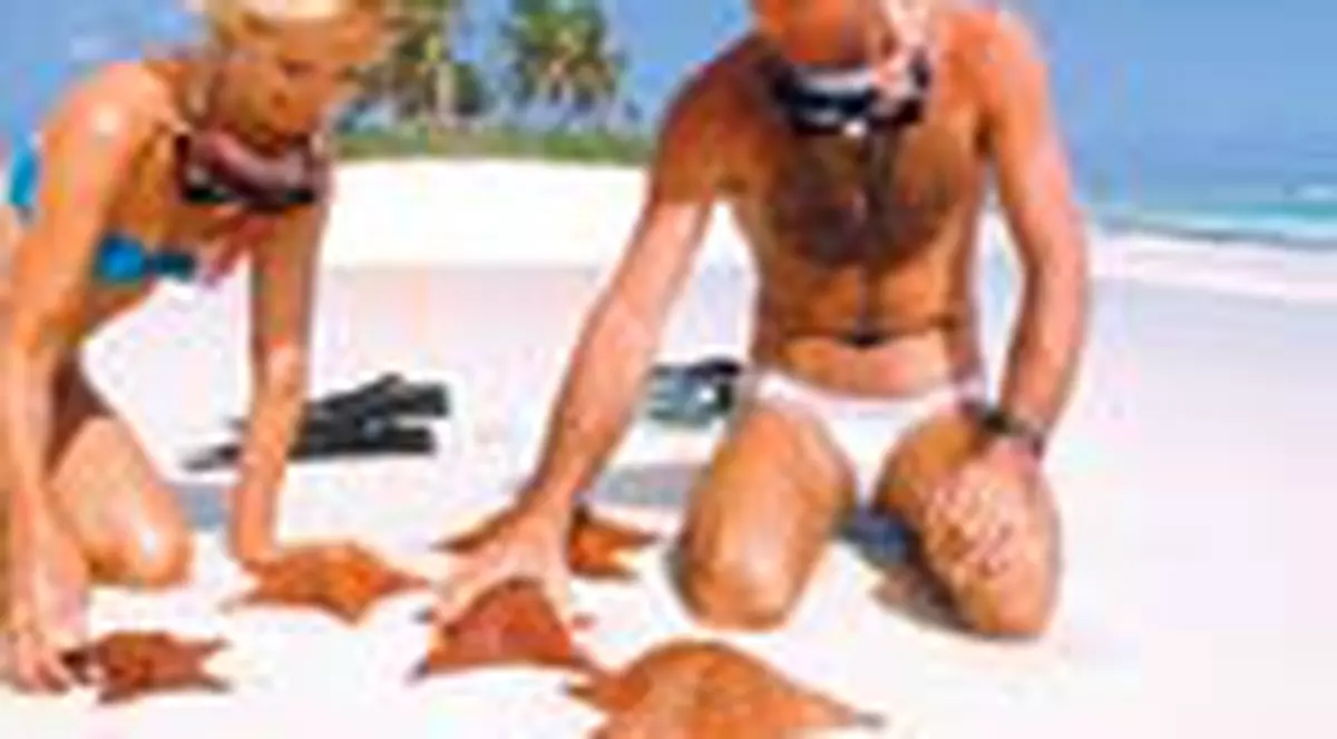 Vacanta de vis cu bani putini