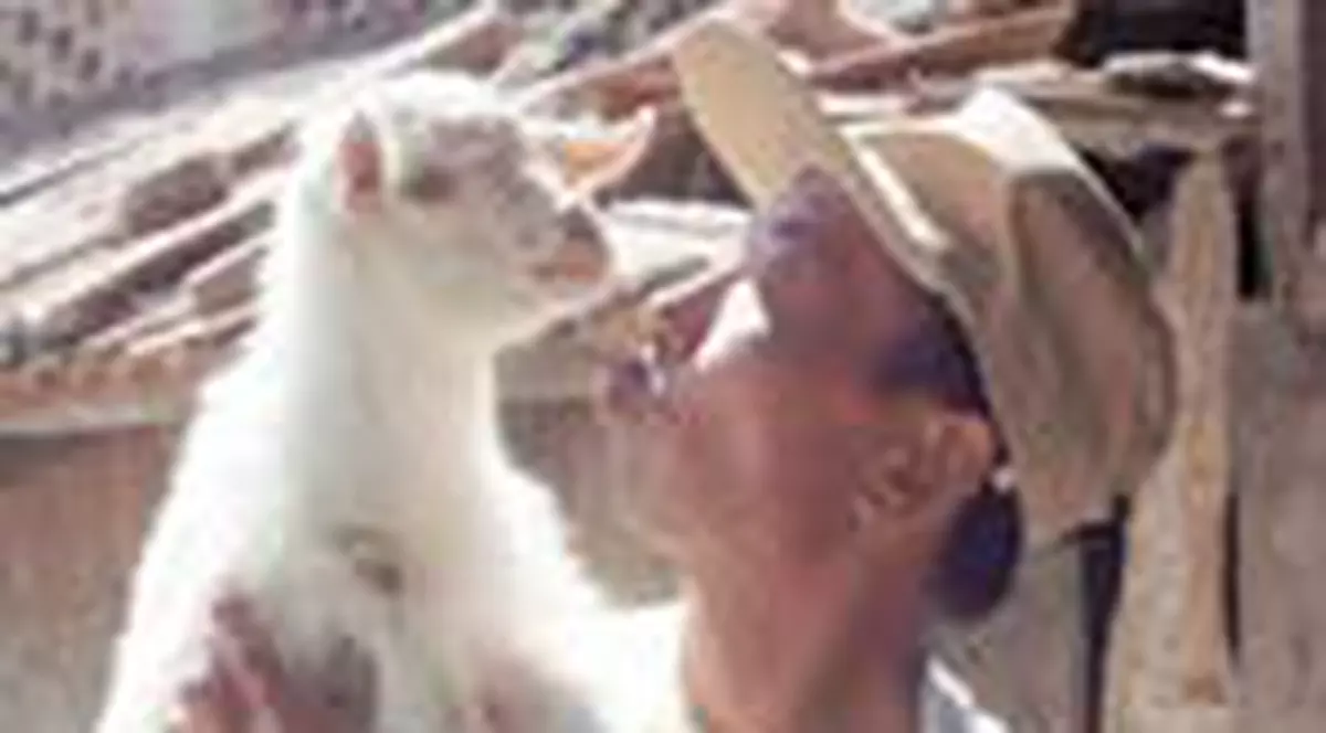 Chinezul caprar, sechestrat in casa de sateni