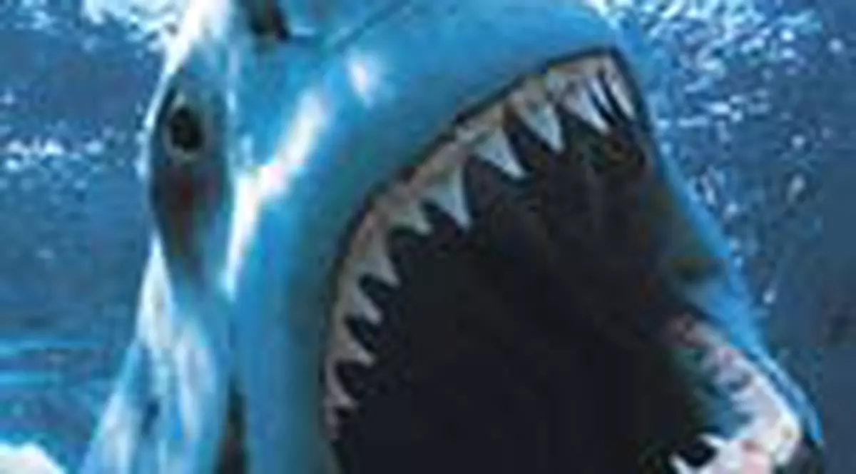 'Am invins rechinul'