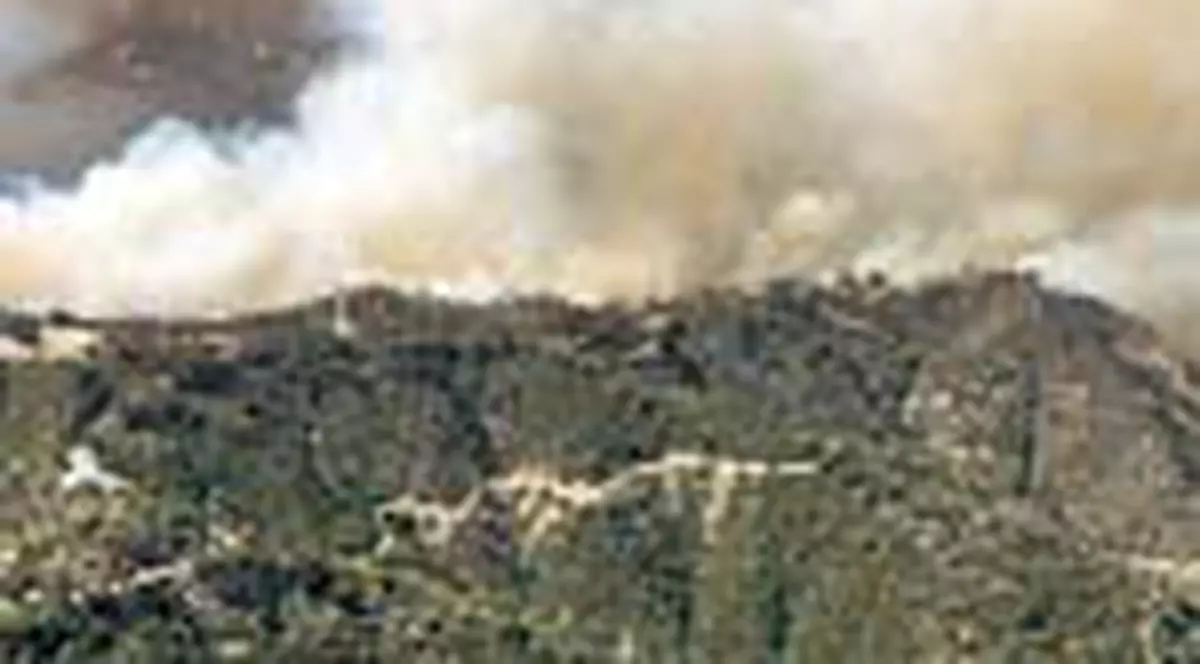 Vedetele, speriate ca arde Hollywoodul