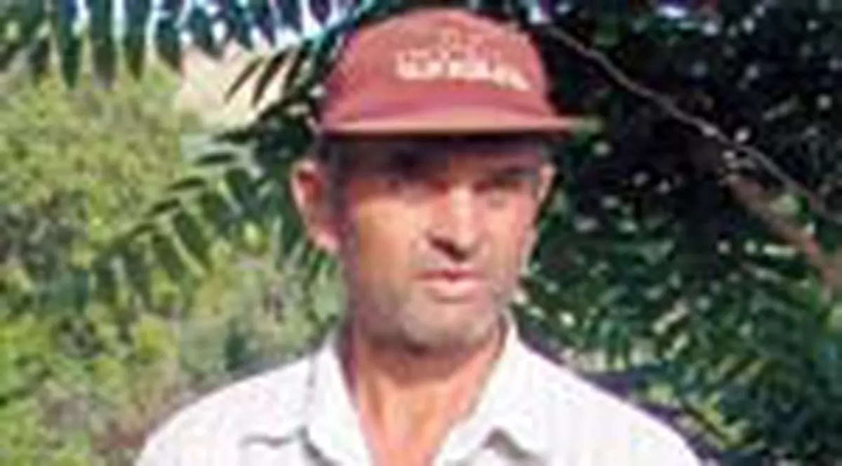 El e tatal copiilor fiicei sale