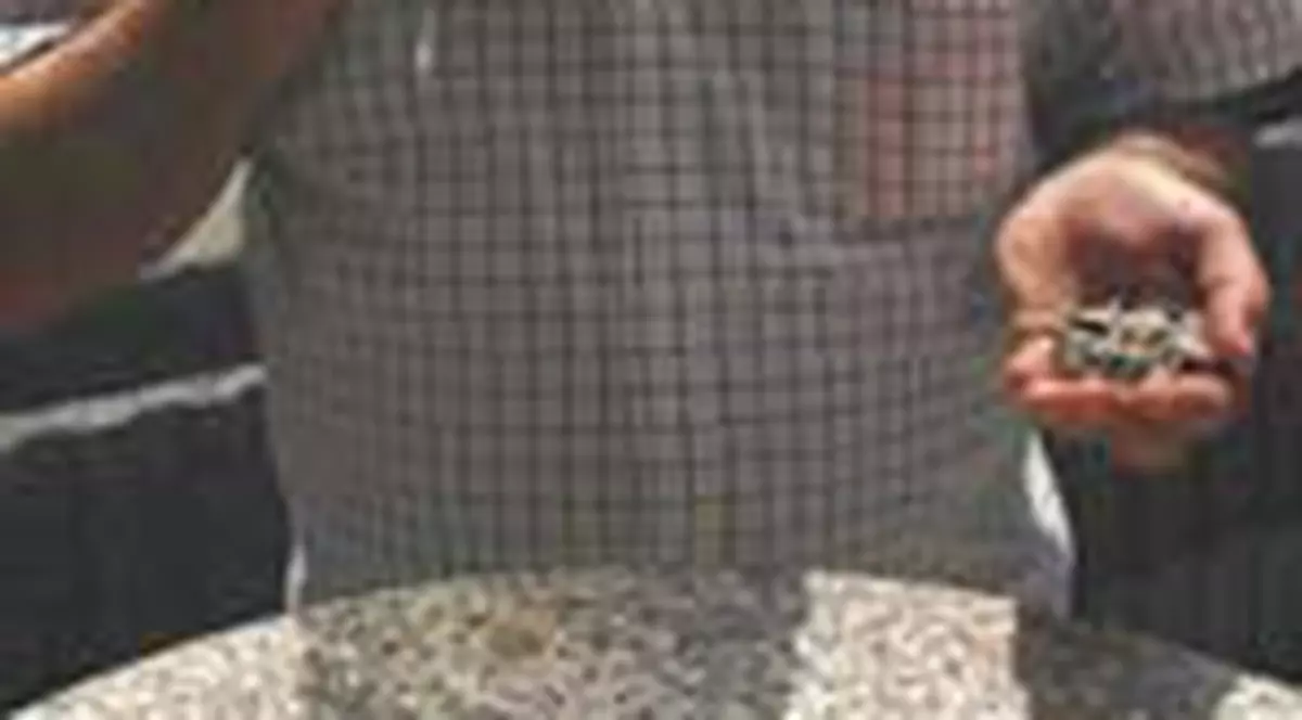 Semintele l-au dat de gol 