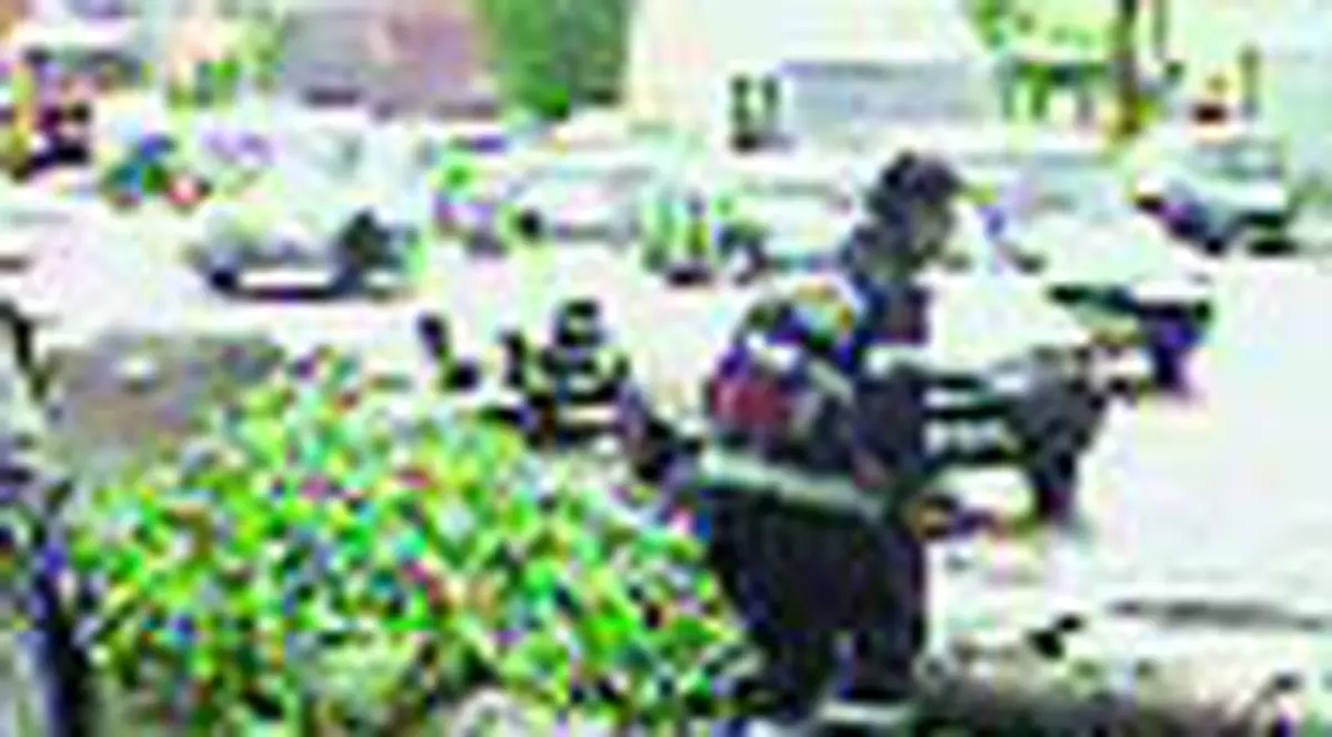 Vijelie cumplita la Miercurea Ciuc