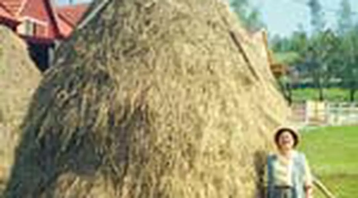 135 lei o vacanta la tara