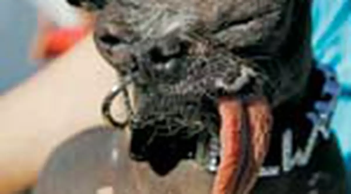 Iata cel mai urat caine din lume