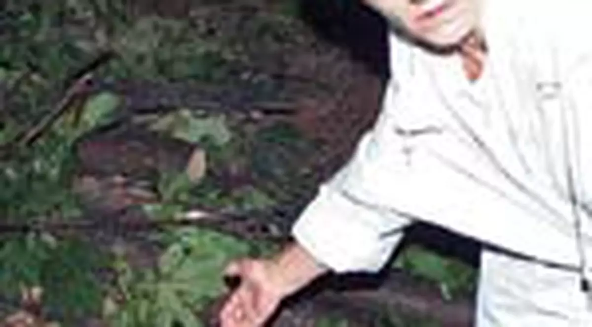 Aici a murit un bucurestean