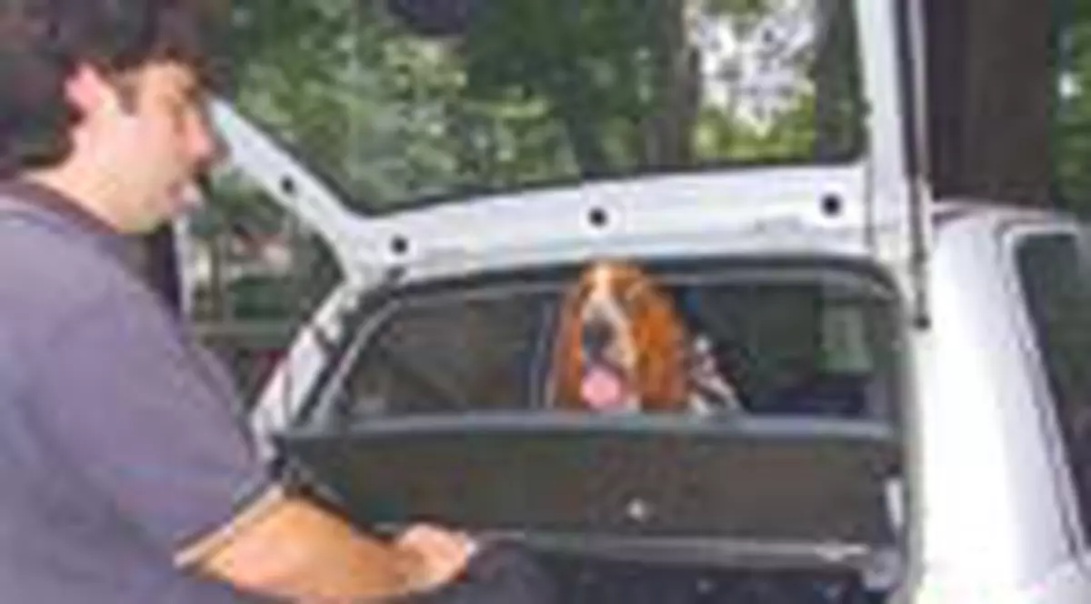 Pasapoarte pentru animale de companie