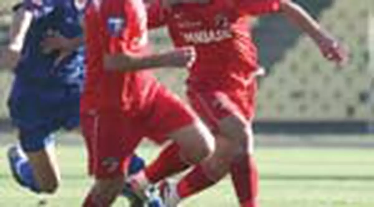 Radu Stefan, spre Genoa?