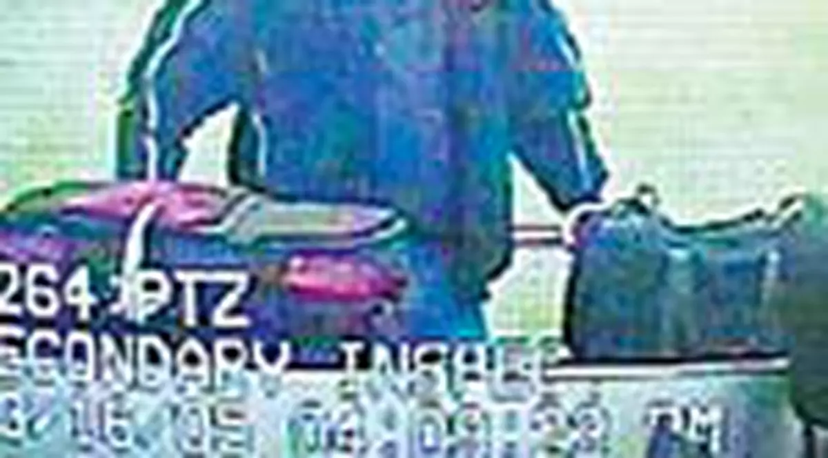 Copii romani abuzati de un milionar din SUA