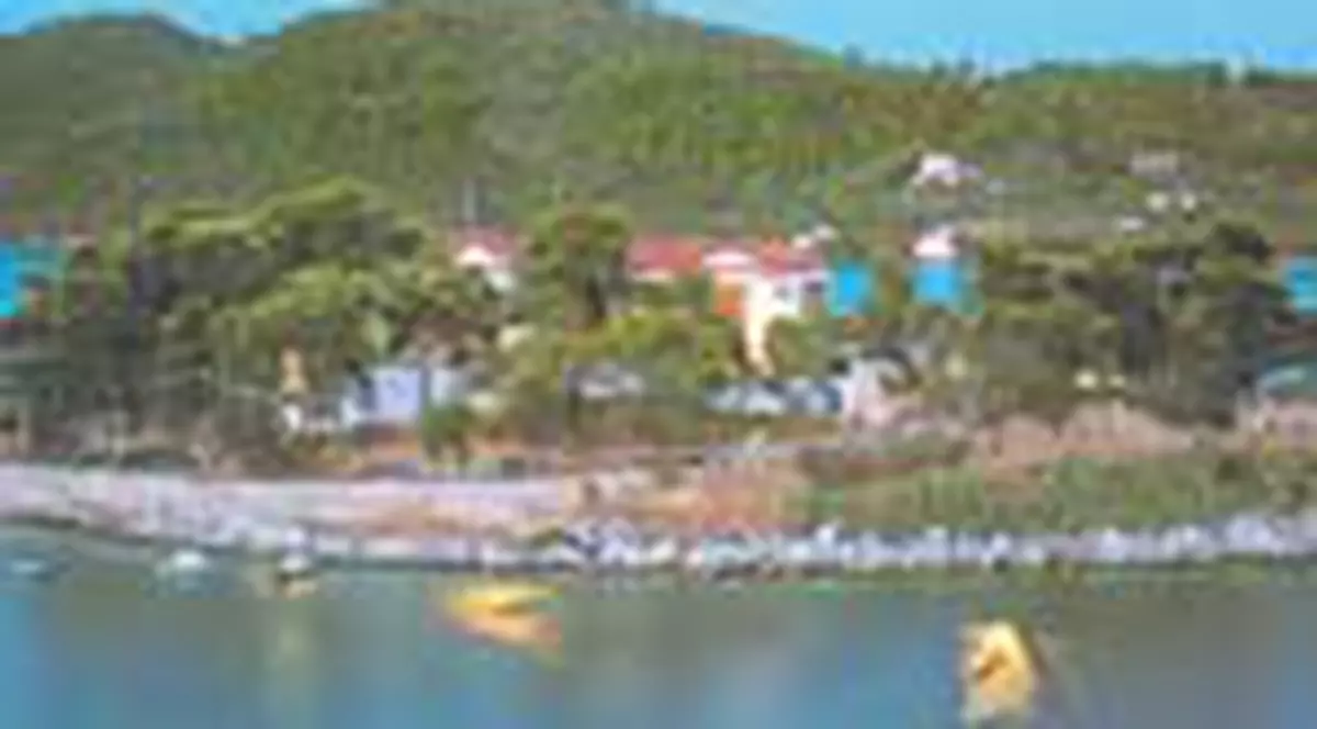 'Arde insula romanilor'