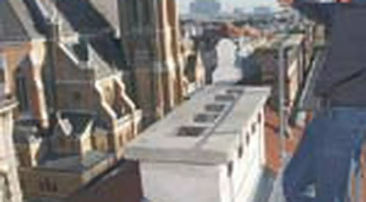 Proiecteaza case pentru austriecii bogati