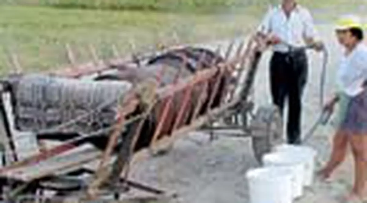 200 de familii traiesc de o saptamana fara apa 