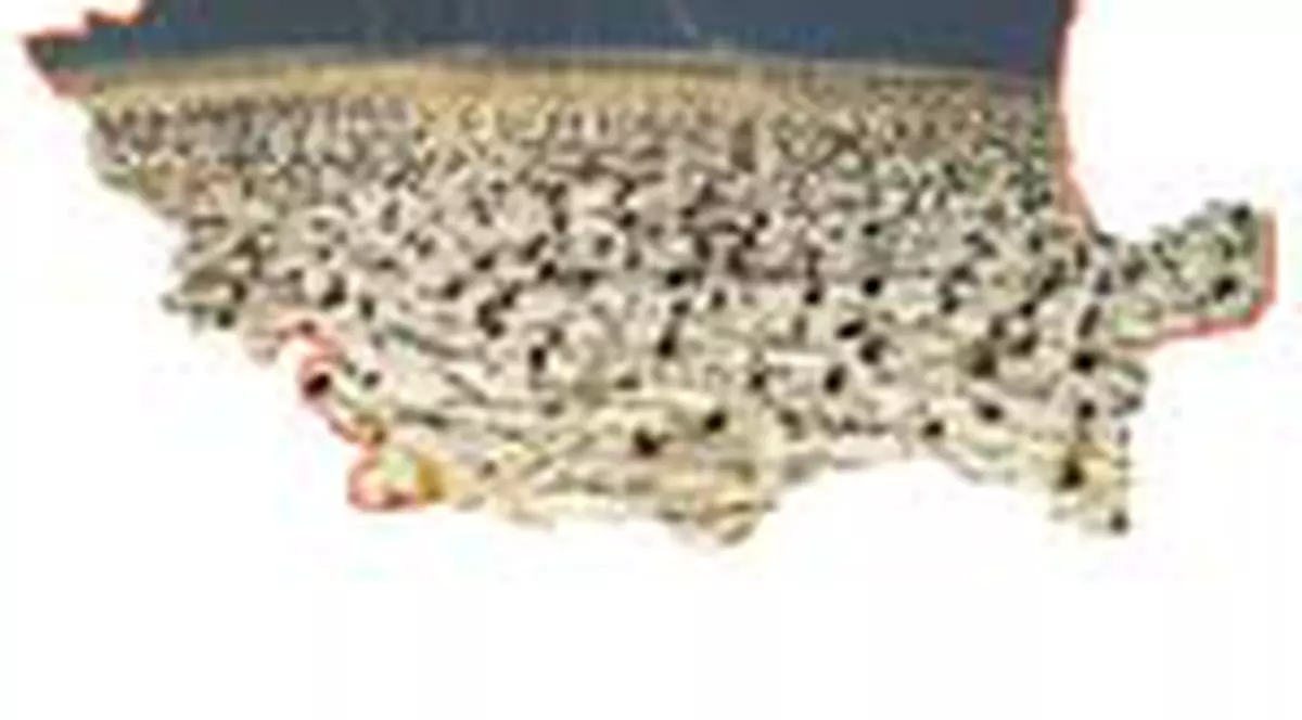 Ce ne asteapta in urmatorii 10 ani?