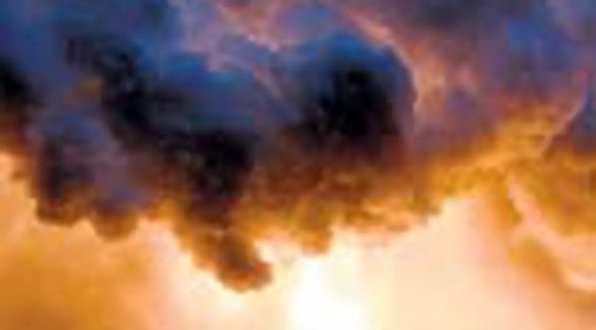 Norul toxic, alungat de caldura 