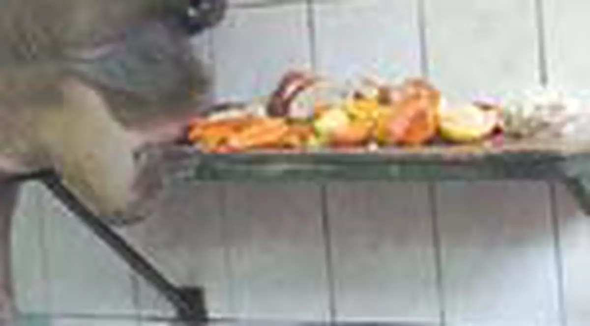 Ospat cu fructe inghetate