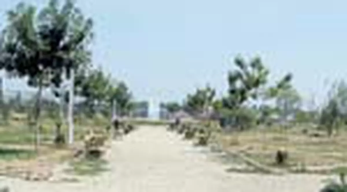 Aici va fi construit un labirint