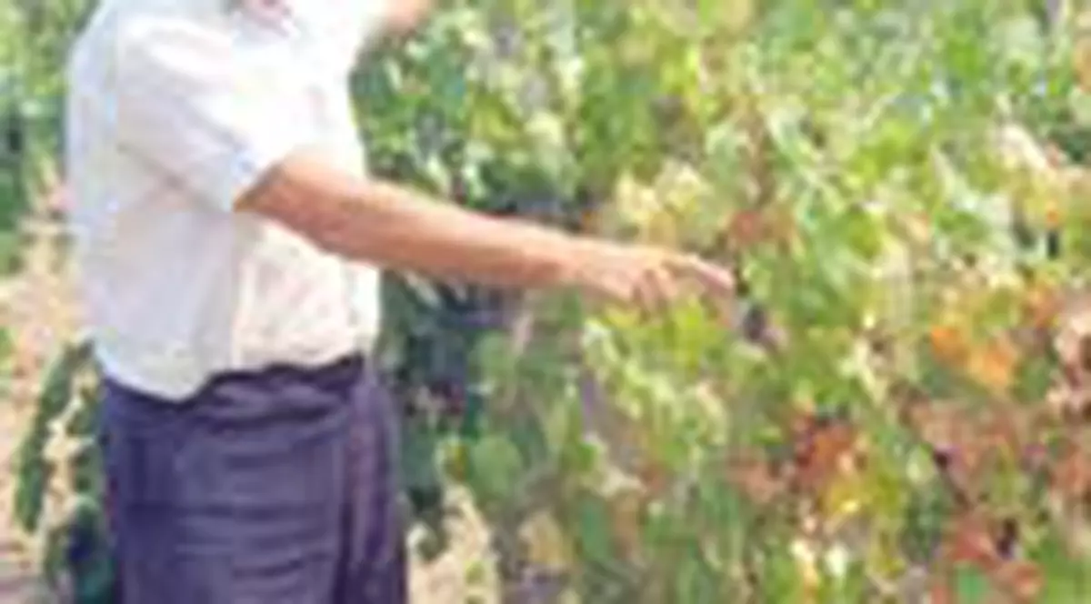 'Se alege prafu' de vie!'