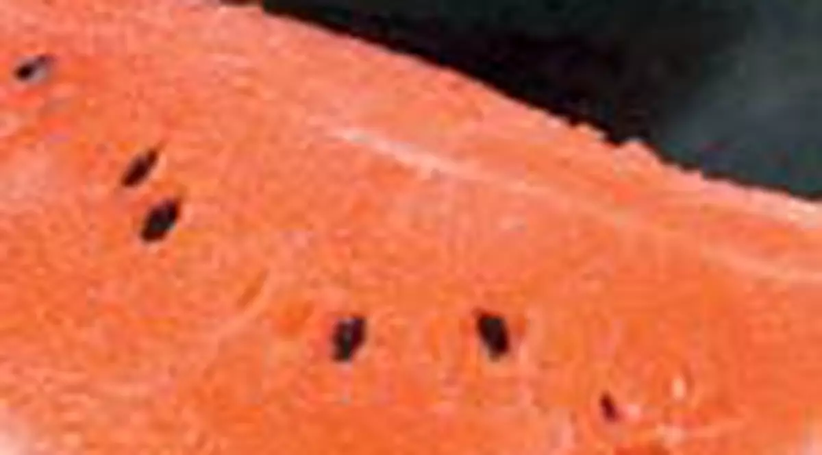 Cura de pepene, sanatate curata