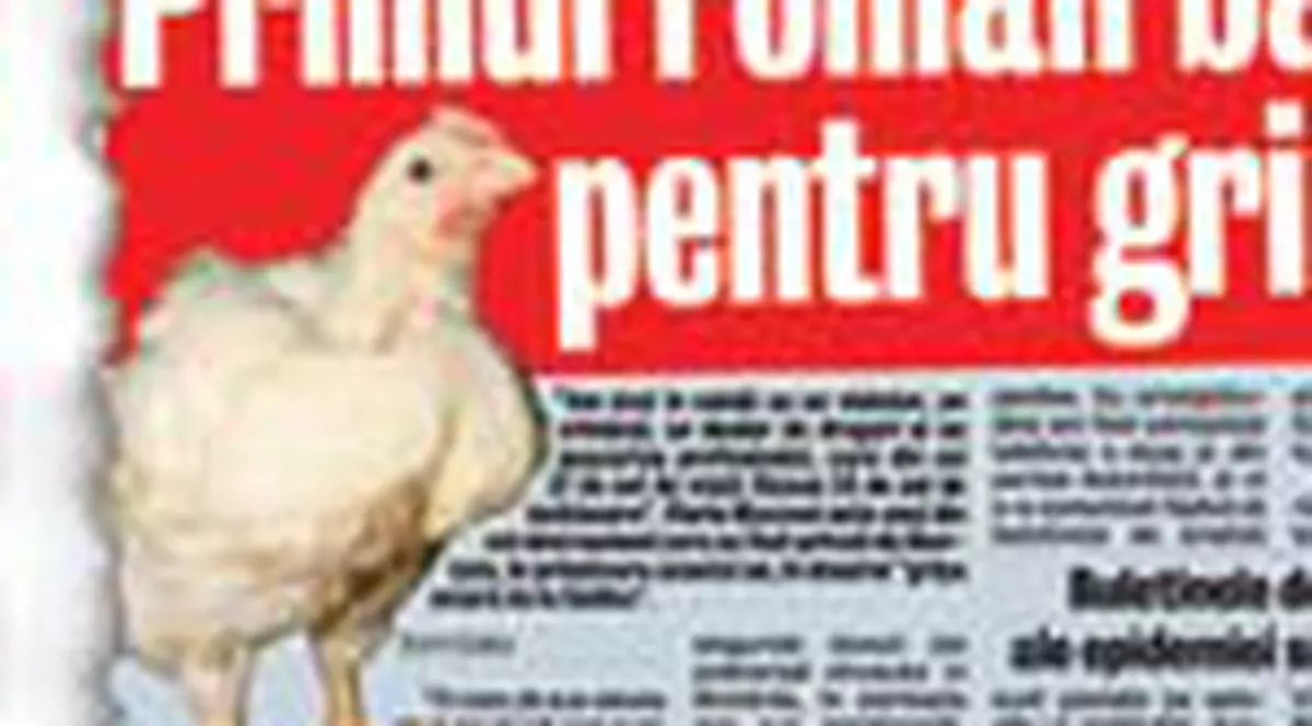 Remes: 'Nu exista dovada gripei aviare'