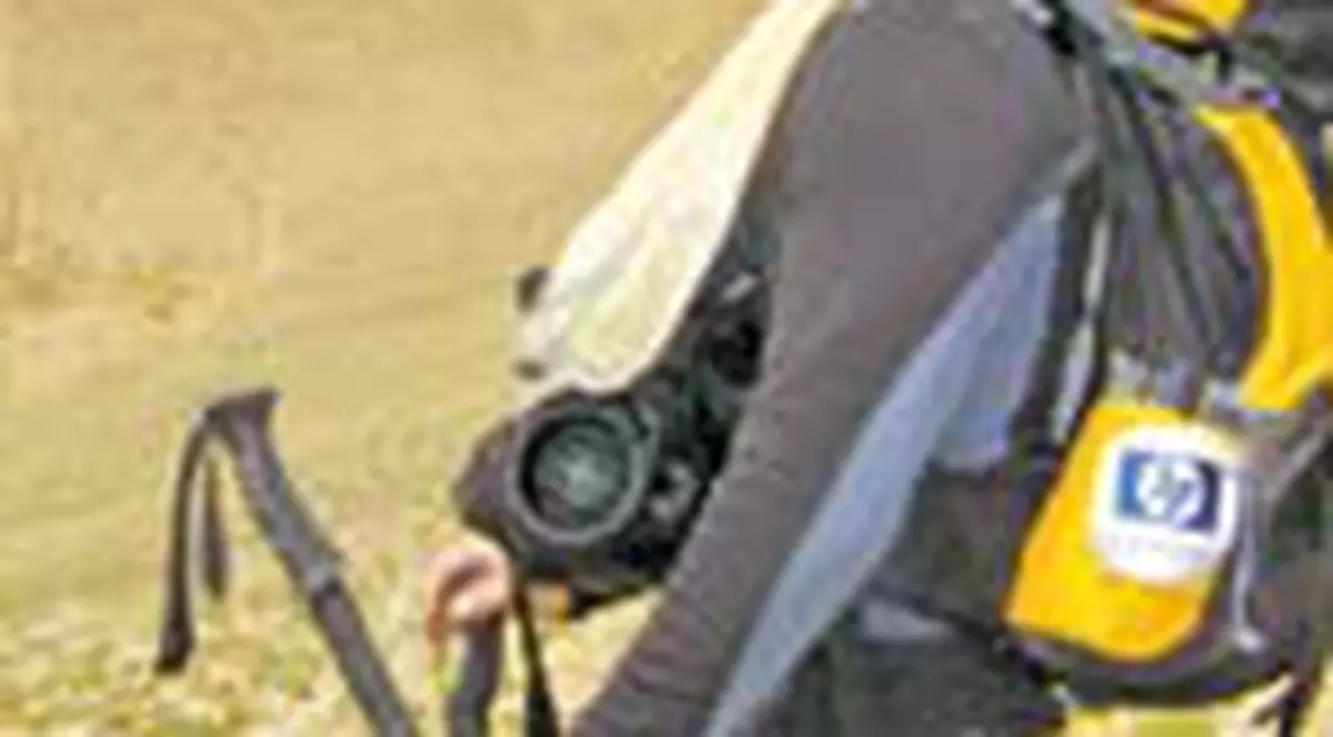 Un roman nominalizat la premiile  Emmy