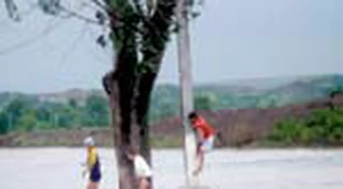 Litoralul, ravasit de ploi