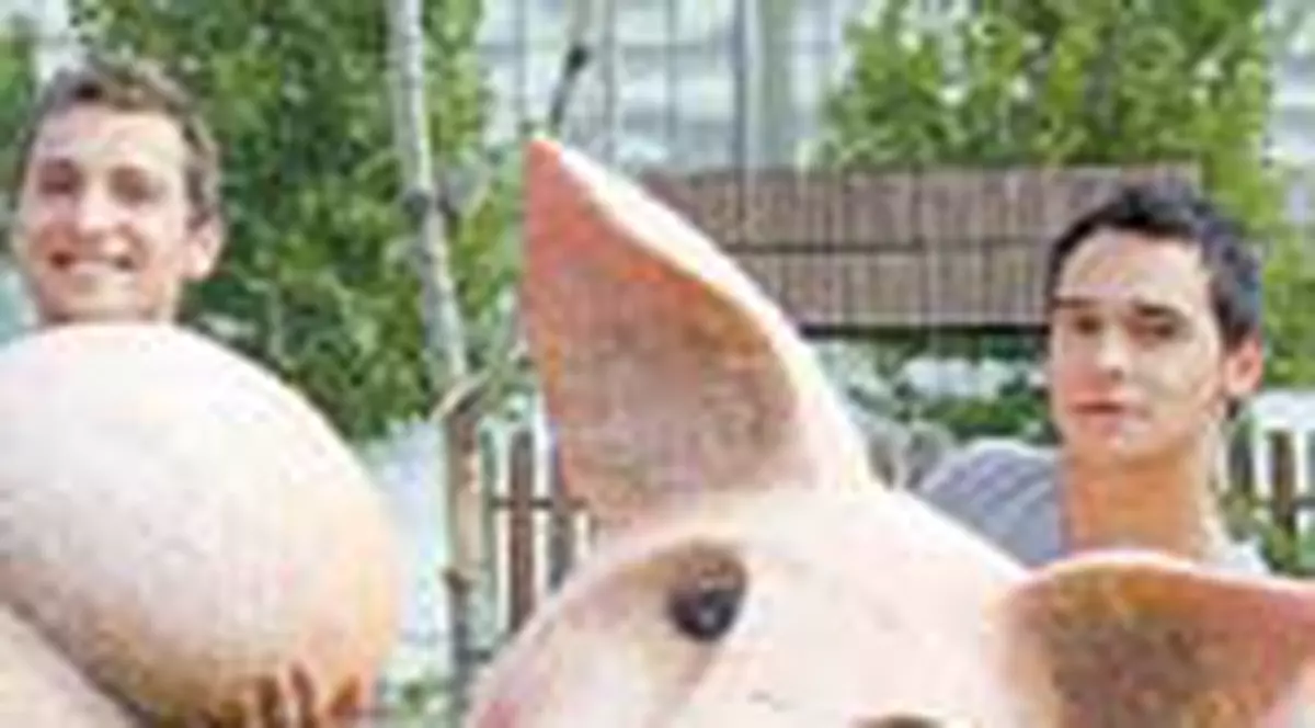 Razvan si Dani 'zboara' cu porcul in rau