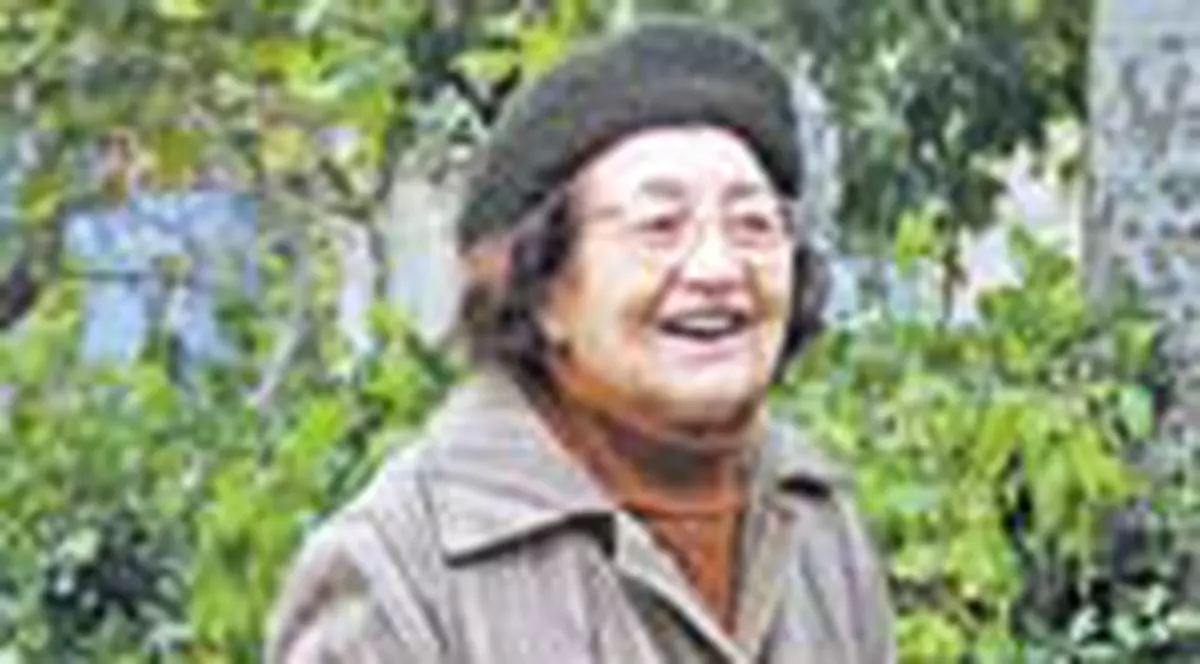 Ce pensii au parintii alesilor?