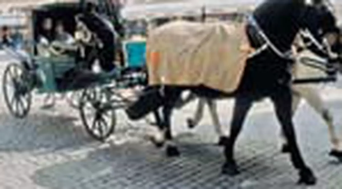 Praga + Gwen Stefani = 500 de euro