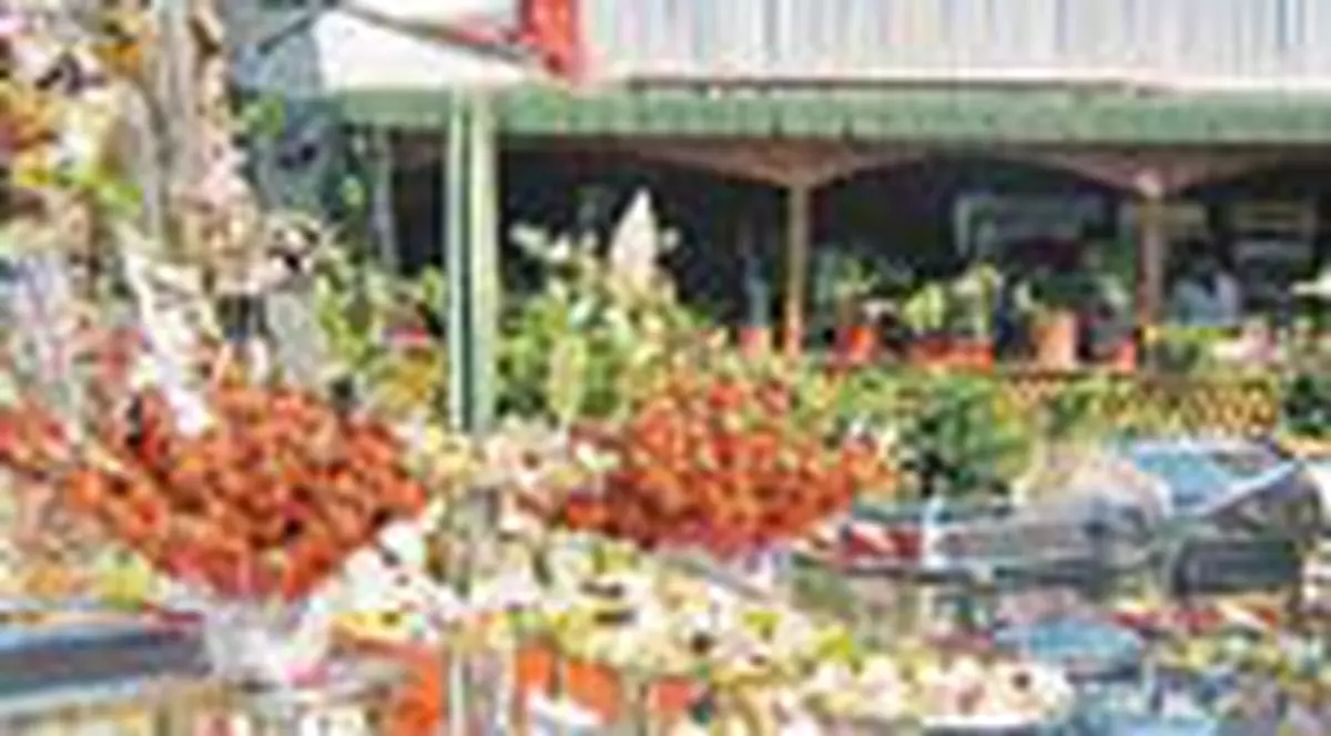 Nunta de lux la Bursuc