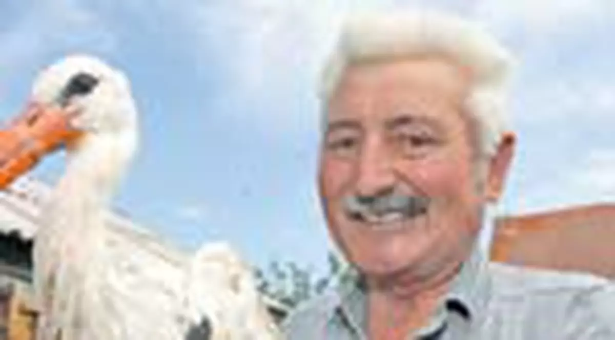 Barza cu cioc artificial a plecat in tarile calde