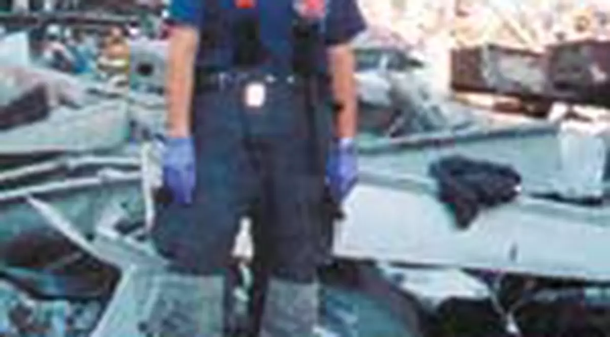 Trei romani vor fi comemorati in SUA