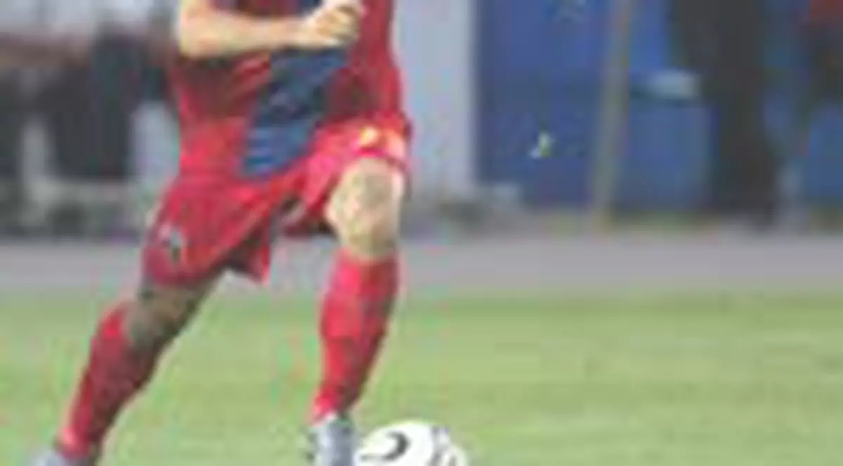 Sotia lui Plesan are doua facultati