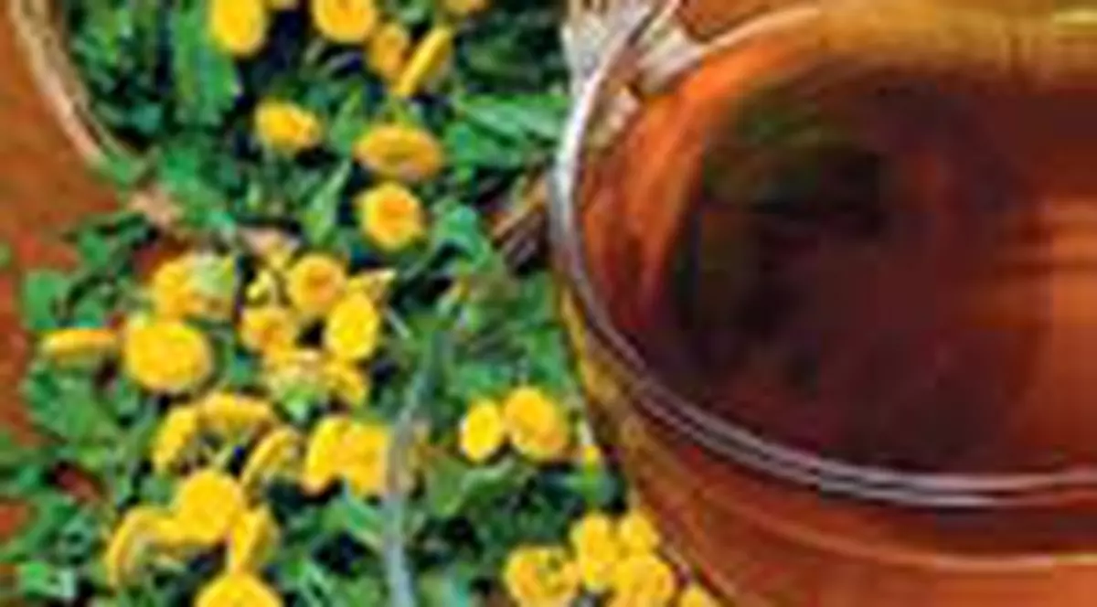 Ghidul ceaiurilor vindecatoare