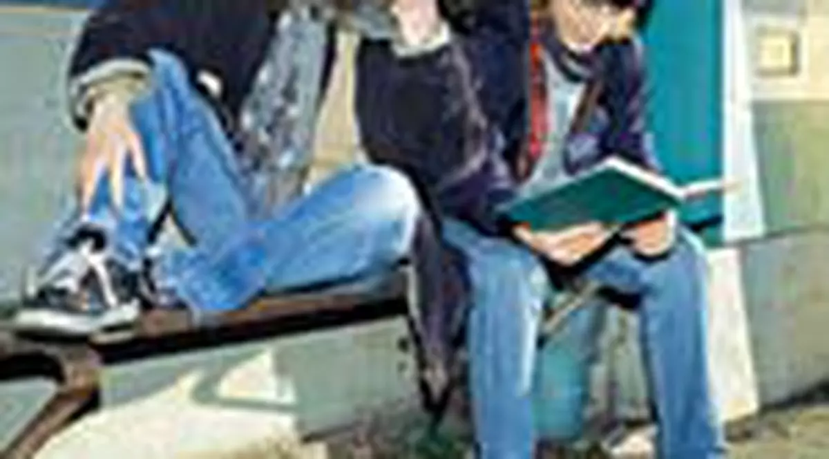 Chiulesc 'pe rupte' la materiile usoare