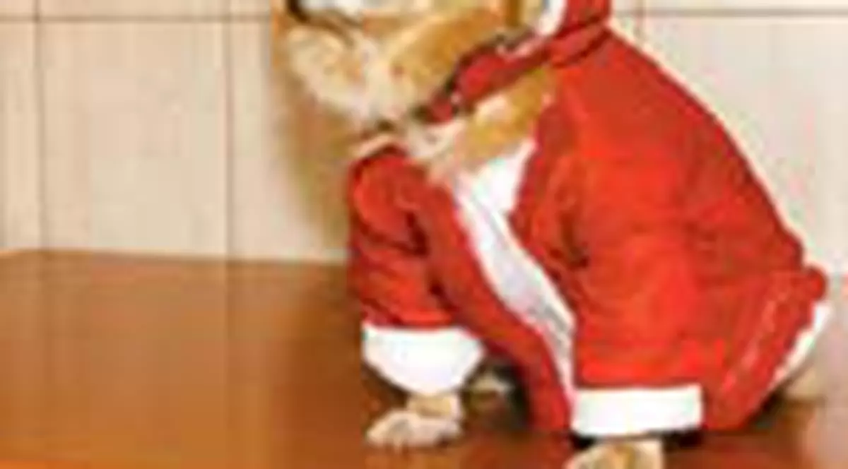 Echipati-i de iarna!