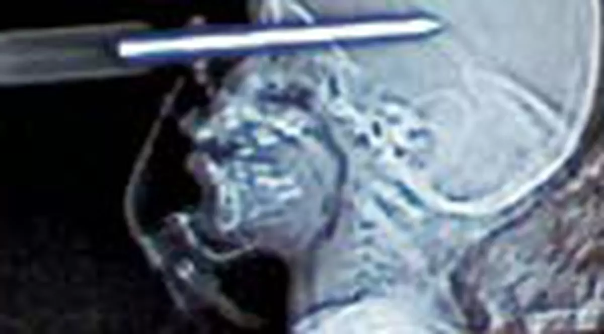 Si-a infipt o surubelnita in ochi