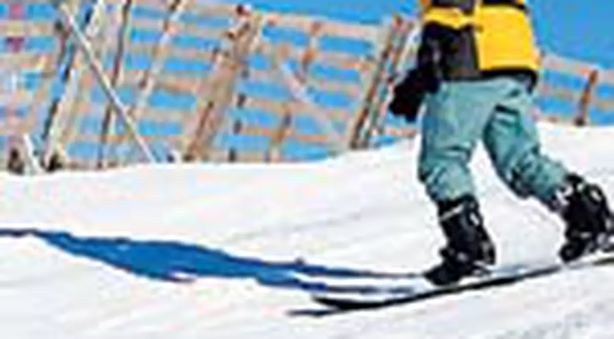 Stolo se da cu placa