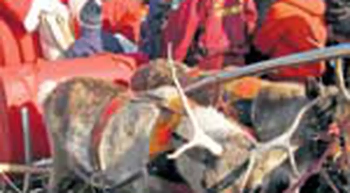 Renii lui Mos Craciun au venit la Bucuresti