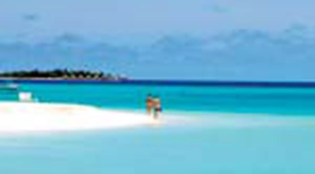 Fugiti de zapada in tarile calde