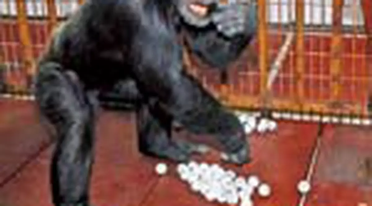 Punem la bataie 777 de bilete la Loto