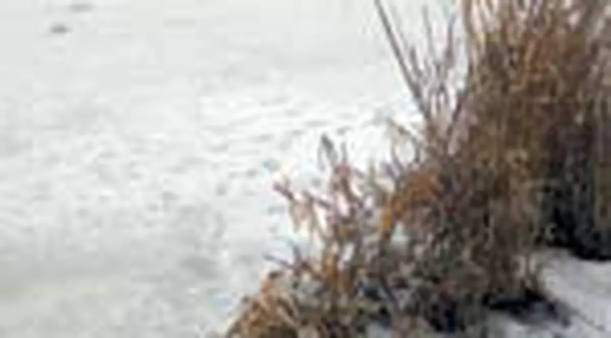 Inghititi de lacul pe care patinau