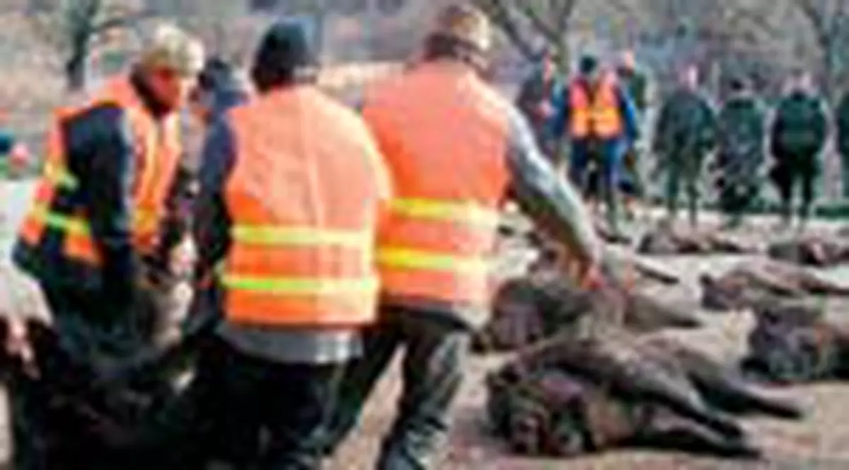 Incepe goana de mistreti la mosia lui Tiriac